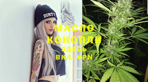 дживик Володарск