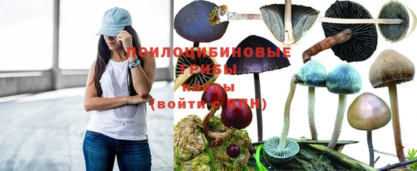 дживик Володарск