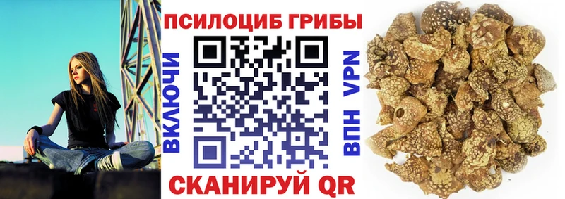 Галлюциногенные грибы ЛСД  Купить  Георгиевск 