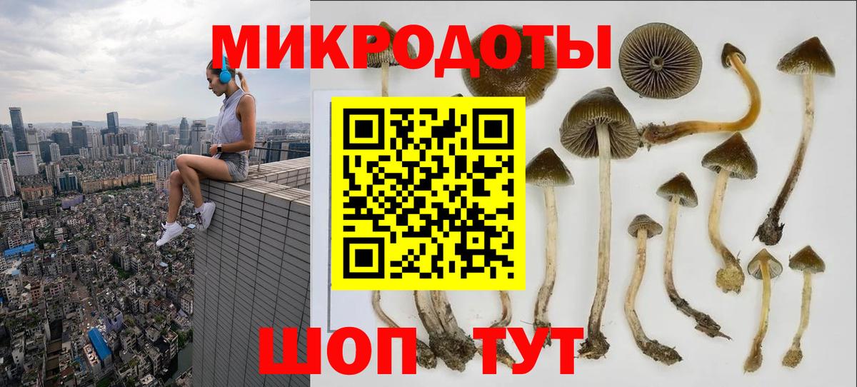 купить закладку  Вход с VPN  Георгиевск  Псилоцибиновые грибы ЛСД 