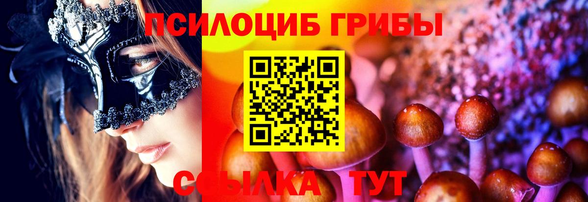 цена наркотик  Георгиевск  Псилоцибиновые грибы MAGIC MUSHROOMS  Псилоцибиновые грибы ЛСД 